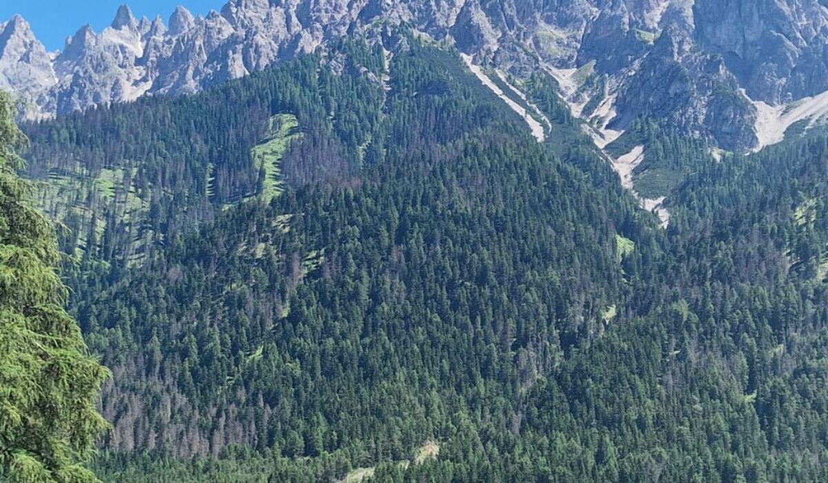 Dolomiidid